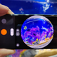 Imagen para el artículo titulado El procesado de color del OnePlus 10 Pro es un espectáculo, pero ¿será suficiente?